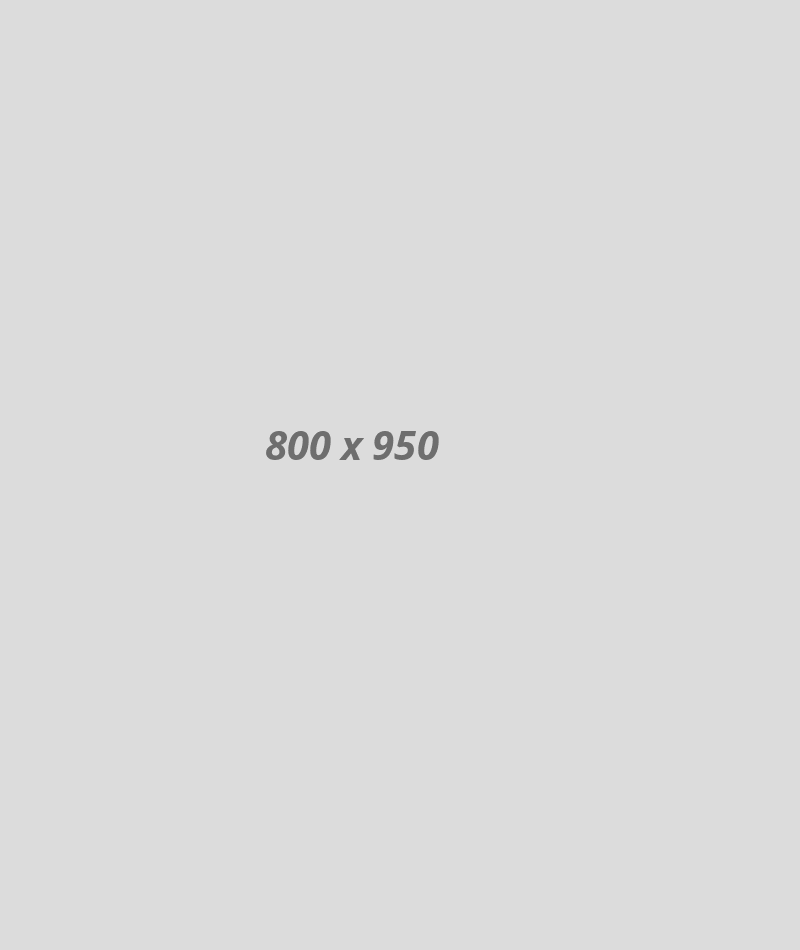expert01